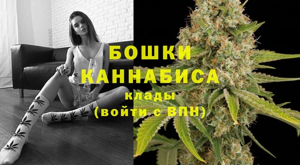 СК Новодвинск