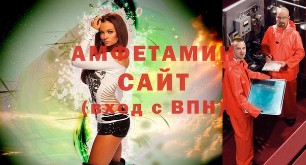 стаф Новозыбков