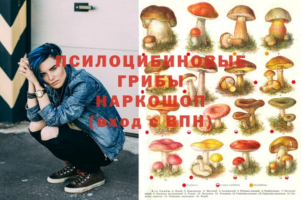 стаф Новозыбков