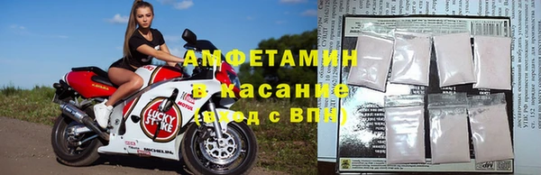 стаф Новозыбков