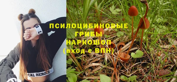 СК Новодвинск